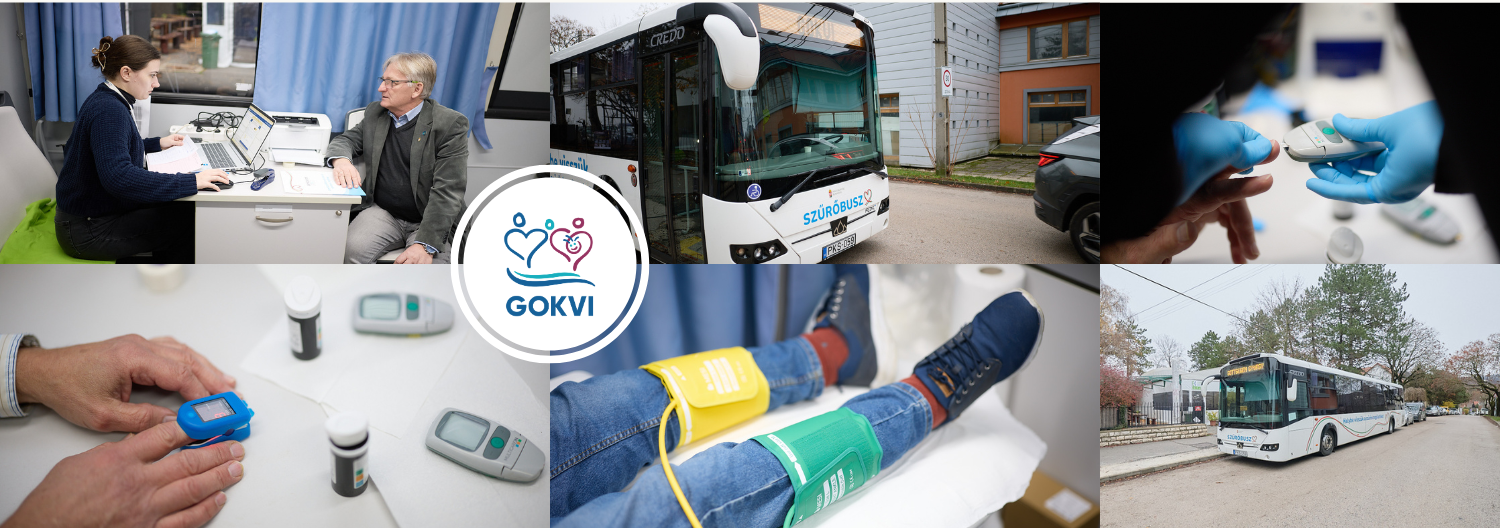 Budakeszi szűrőbusz.png